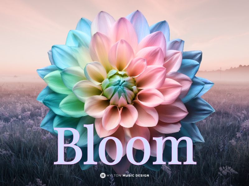 Bloom